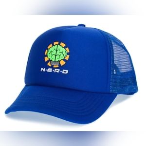 NERD Rock Hip Hop Pharrell 2000s Retro Hat Custom Royal Music Video Edition Rare